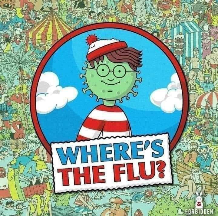 Waldo Flu Where 182791850_118364820387717_6448058678519706057_n.jpg