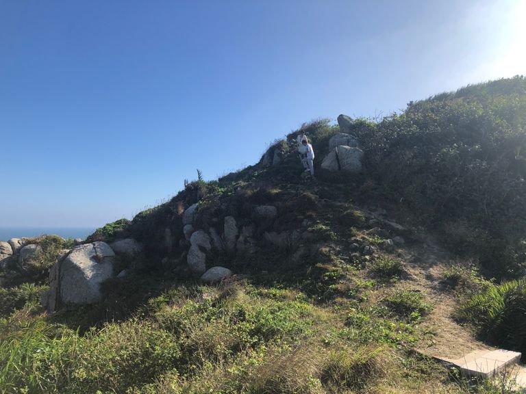 茂名放鸡岛