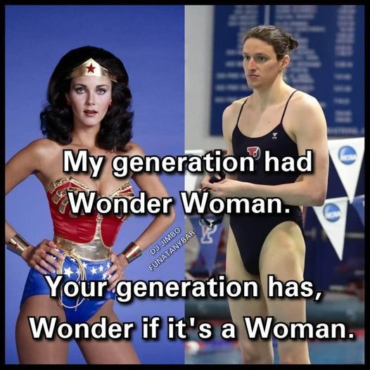 Wonder Woman or if it is 277254527_4951606591598066_4602408419189873654_n.jpg
