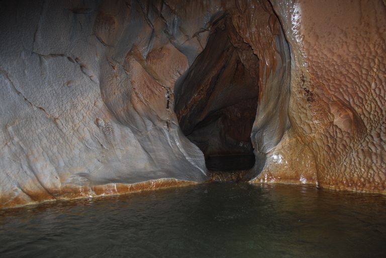 Cueva-del-Guacharo-3.jpg