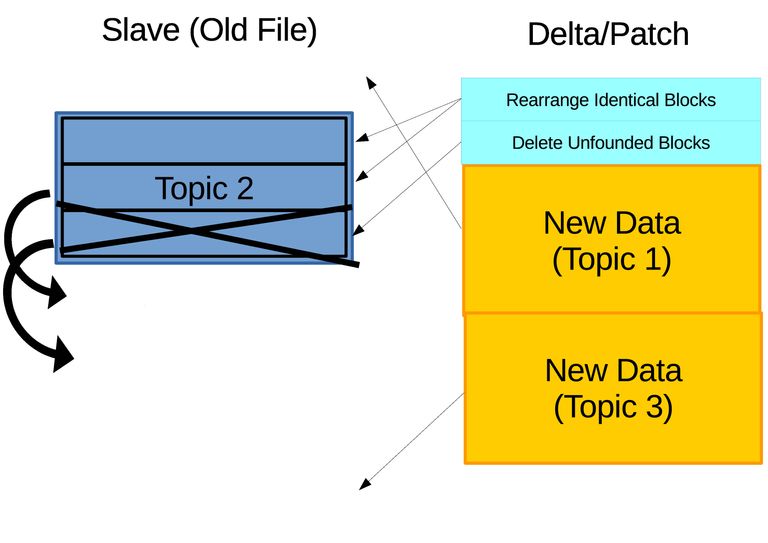 3.11.c.Rsync-Ill-Detail-3.jpg