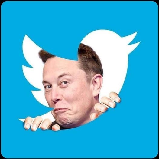 Twitter Elon Musk 278930230_294490572852878_1808637322328803099_n.jpg