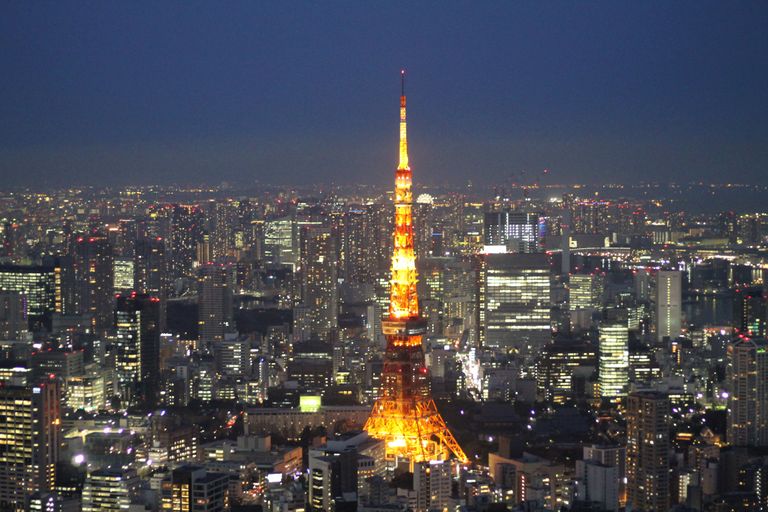 TOKYO TOWER WINTER5.JPG