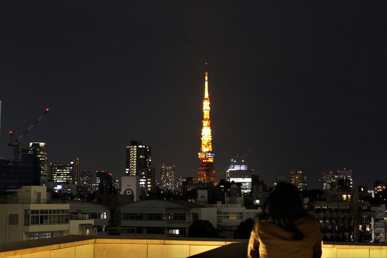 TokyoTower Winter4.JPG