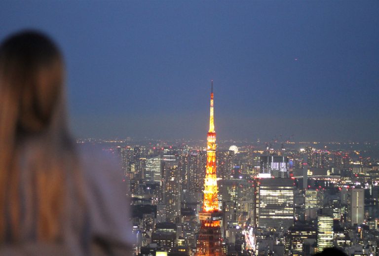 TokyoTower Winter2.JPG