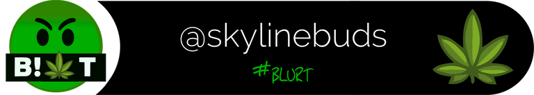 Blurt skylinebuds 2.png