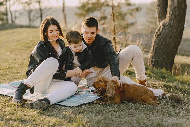 photo-of-family-sitting-on-mat-while-looking-at-brown-dog-4148839.jpg