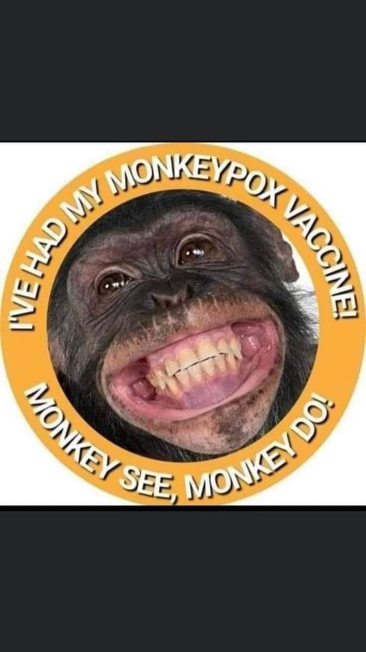 monkey.jpg