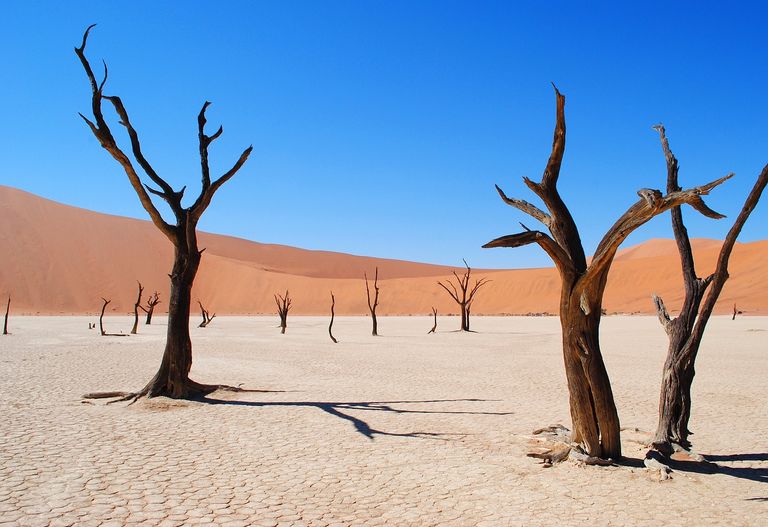 deadvlei-2011373_1280.jpg