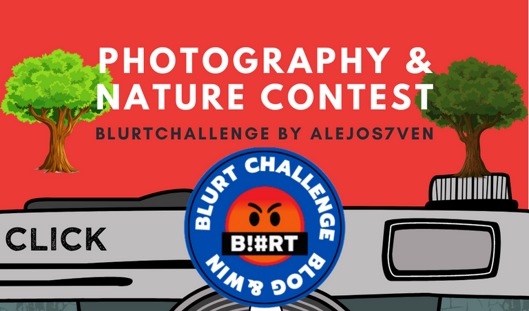 Photography & nature contest.png