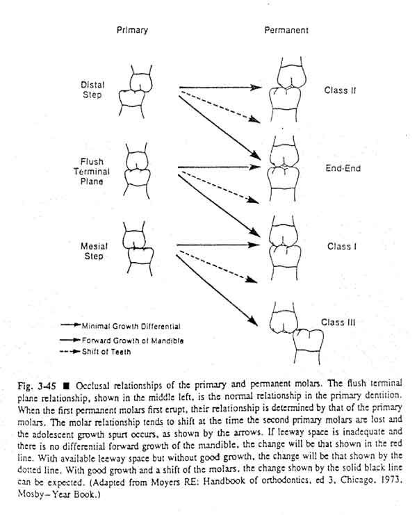 space_relationships_image3.jpg