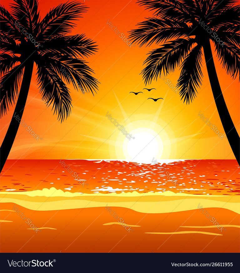 warm-tropical-beach-sunset-with-palm-trees-vector-26611955.jpg