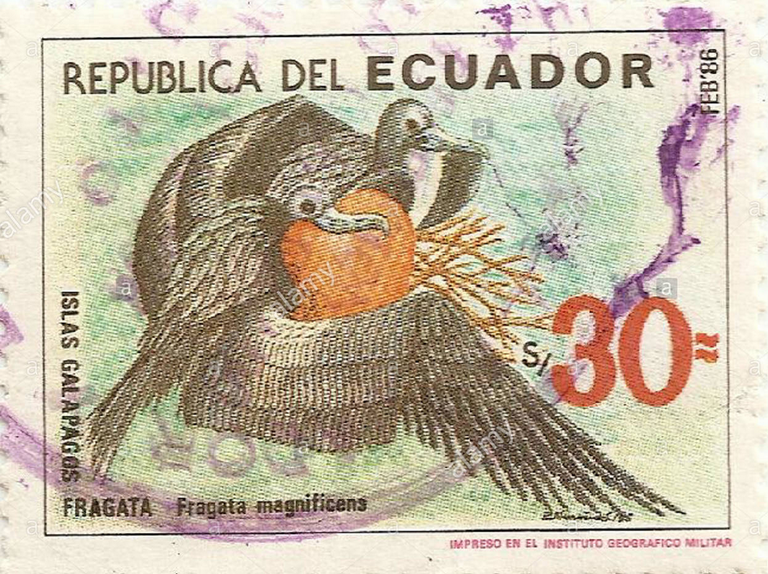 209.-Fregata-ecuador.png