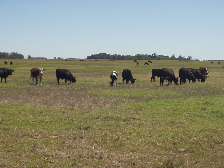 149.-Argentina 2007 086.jpg