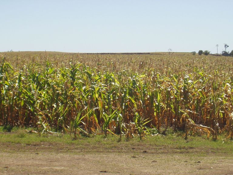 149.-Argentina 2007 076.jpg