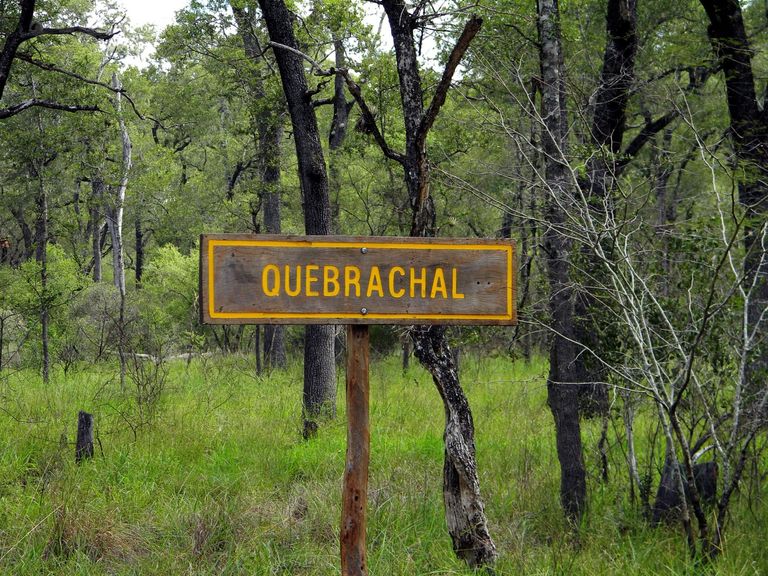 370.-Parque Nacional El Quebrachal.jpg