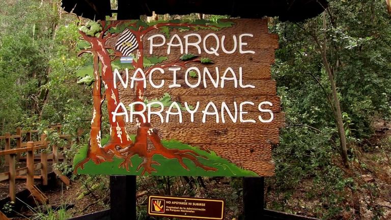 221.-Parque-Nacional-Los-Arrayanes.jpg