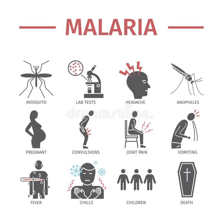 malaria-icon-infographics-symptoms-treatment-vector-signs-web-graphics-malaria-flat-icon-infographics-symptoms-vector-signs-112465742.jpg