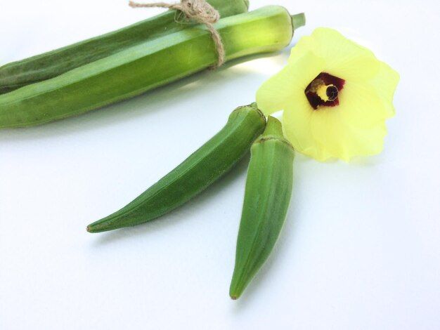 close-up-okras-with-yellow-flower-white-table_1048944-14653998.jpg