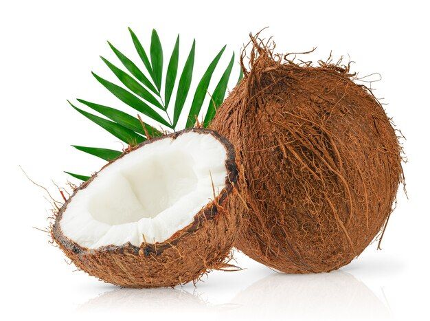 composition-coconuts-green-palm-leaf-isolated-with-clipping-path_106885-2735.jpg