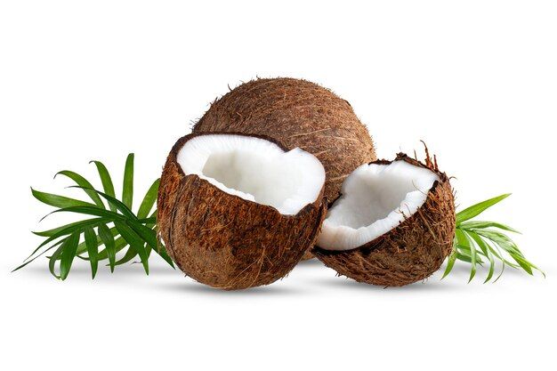 ripe-broken-fresh-coconut-with-green-leaves-white-background-isolate_658823-136.jpg