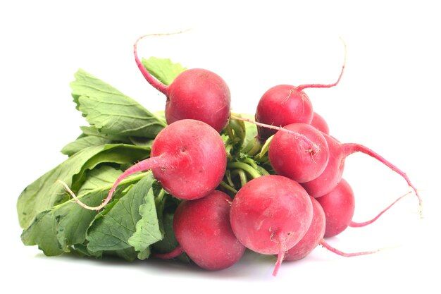 fresh-radish_181303-4430.jpg