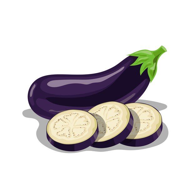 fresh-eggplants-group-cartoon-style-fresh-violet-whole-vegetable-eggplant-round-slices-farm-fresh-illustration-white-background_272943-80.jpg