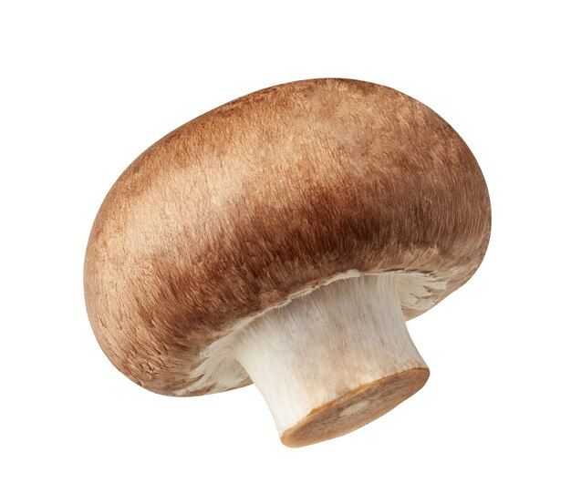 one-fresh-mushrooms-champignon-isolated-white-surface-with-clipping-path_188237-192.jpg