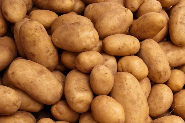 potato-crop-texture_1871-156.webp