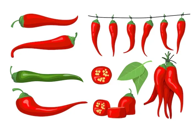 red-chili-pepper-set_74855-16226.webp