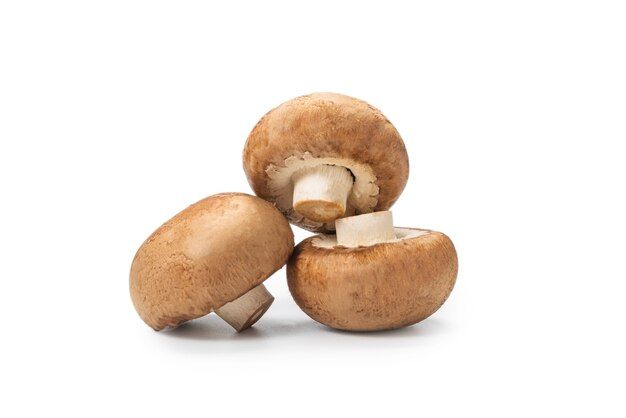 tasty-mushroom-isolated-white-background_188078-2387.jpg