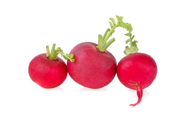 fresh-red-radish-isolated_436608-394.jpg