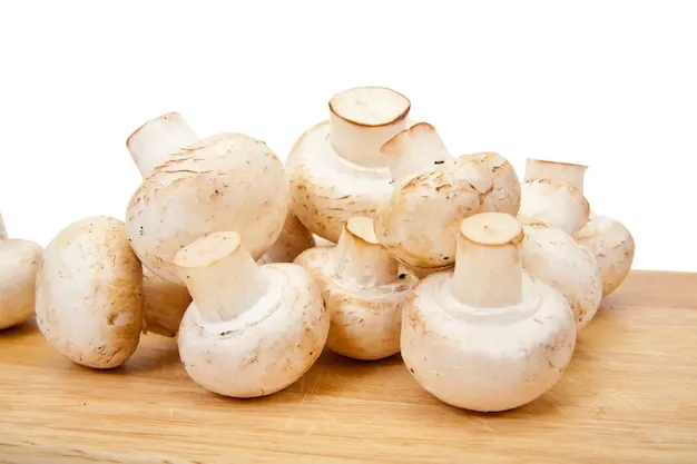 champignon-mushroom_1398-717.webp