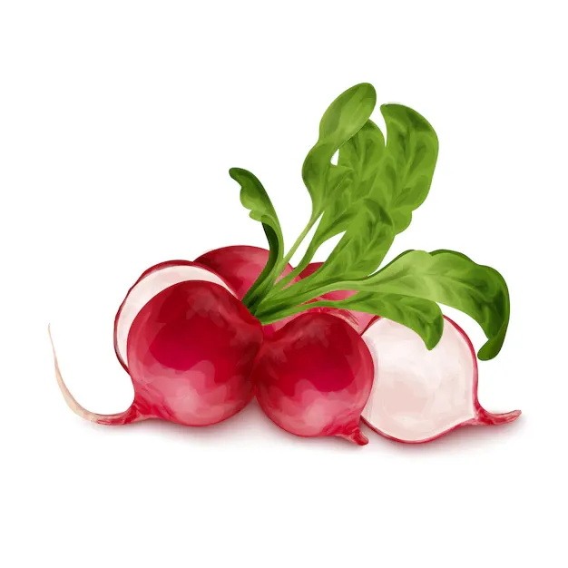 fresh-radish-isolated_98292-4898.webp