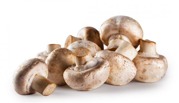 pile-raw-mushroom-champignon-isolated-white_159938-1995.jpg