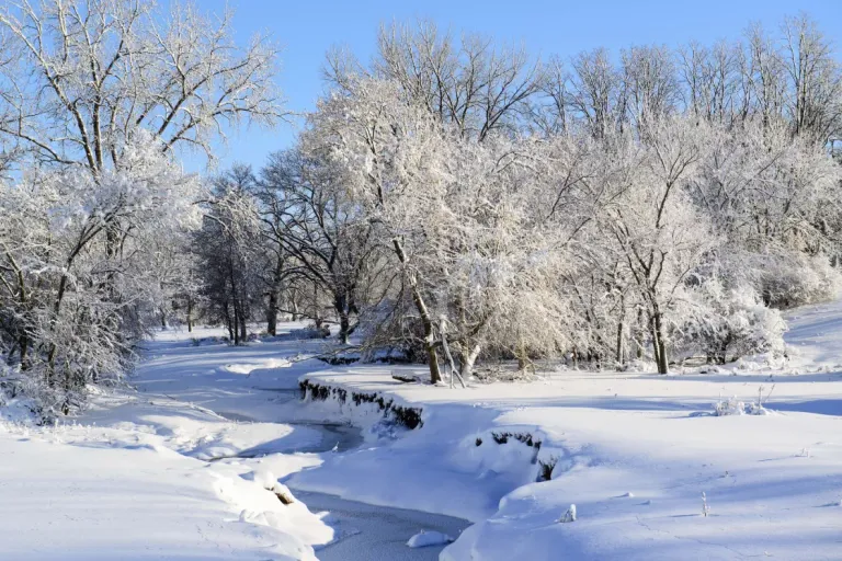 After a snow storm, the sun emerged revealing this beautiful scene on Cedar River Road west of Mount Vernon, IA..jpg.jpeg