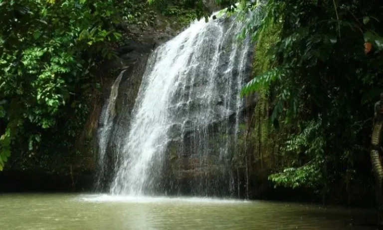 Daya-Tarik-Telaga-Permai-Batu-Besaung.webp