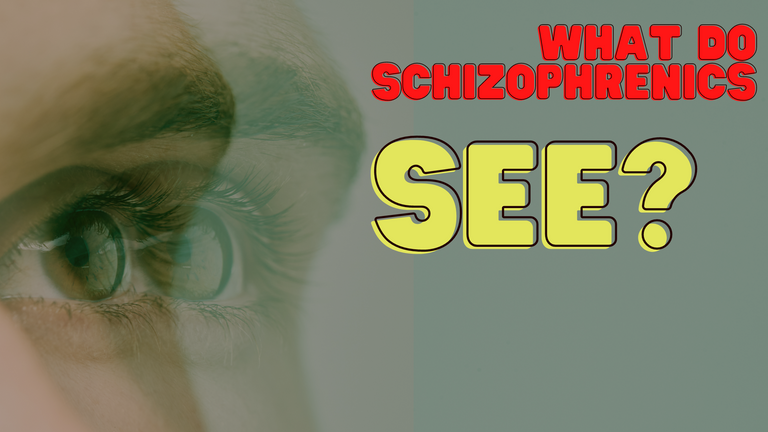 What do schizophrenics see.png