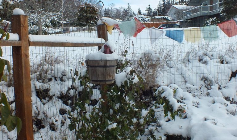 CT0006-PrayerFlags.JPG