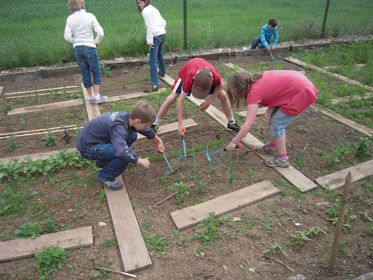 school-garden-1737320_1280.jpg