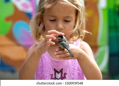 little-girl-holding-bird-baby-260nw-1500939548.jpg