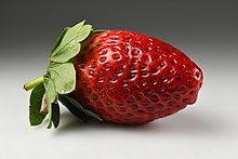 Garden_strawberry_(Fragaria_×_ananassa)_single2.jpg