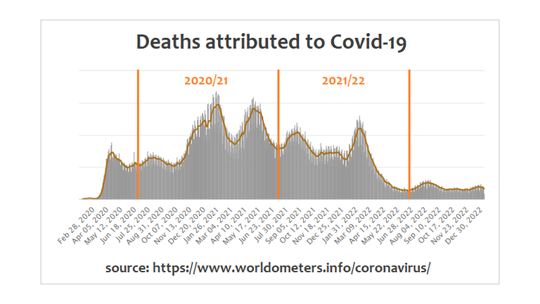 covid deaths.png