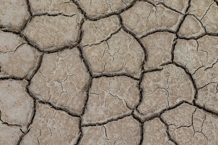 drought-7480730__480.jpg