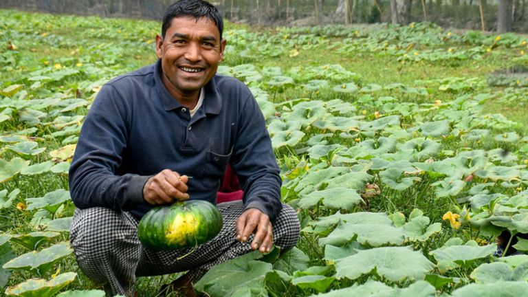 organic_vegetable_farming_gaibandha.jpg