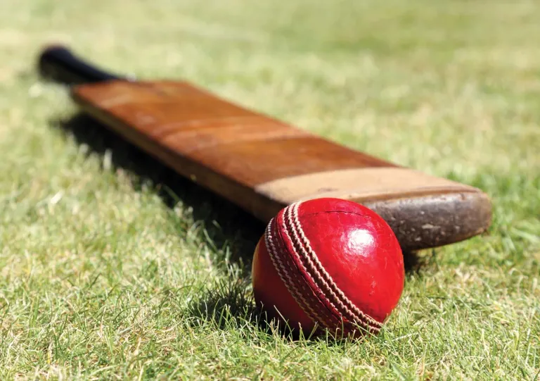 Cricket-bat-ball.webp