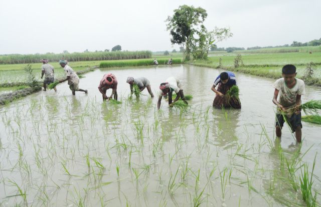 Lalpur-Natore-Pic-04-29.08.jpg