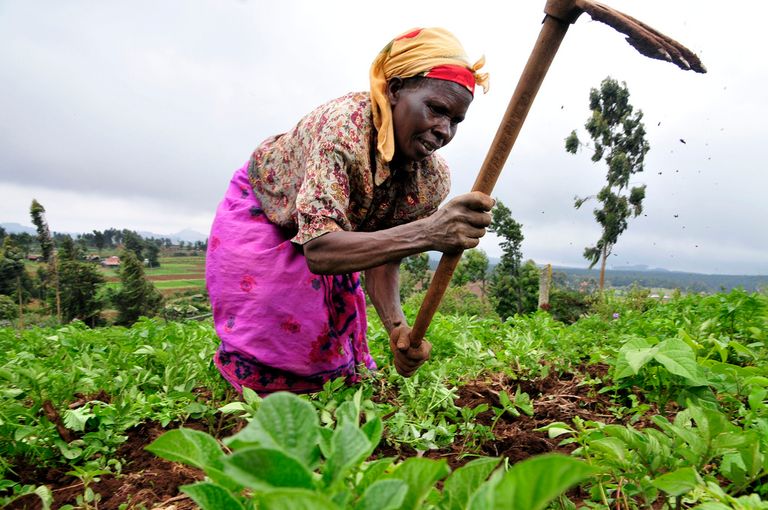 Woman-Farmer.jpg