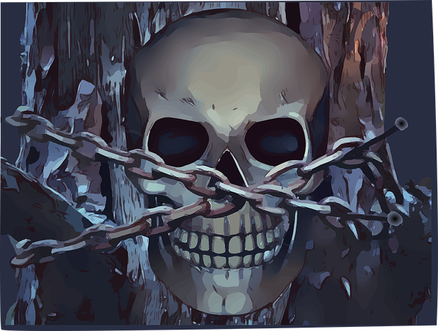 skull-4055196_640.png