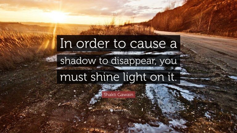 424620-Shakti-Gawain-Quote-In-order-to-cause-a-shadow-to-disappear-you.jpg